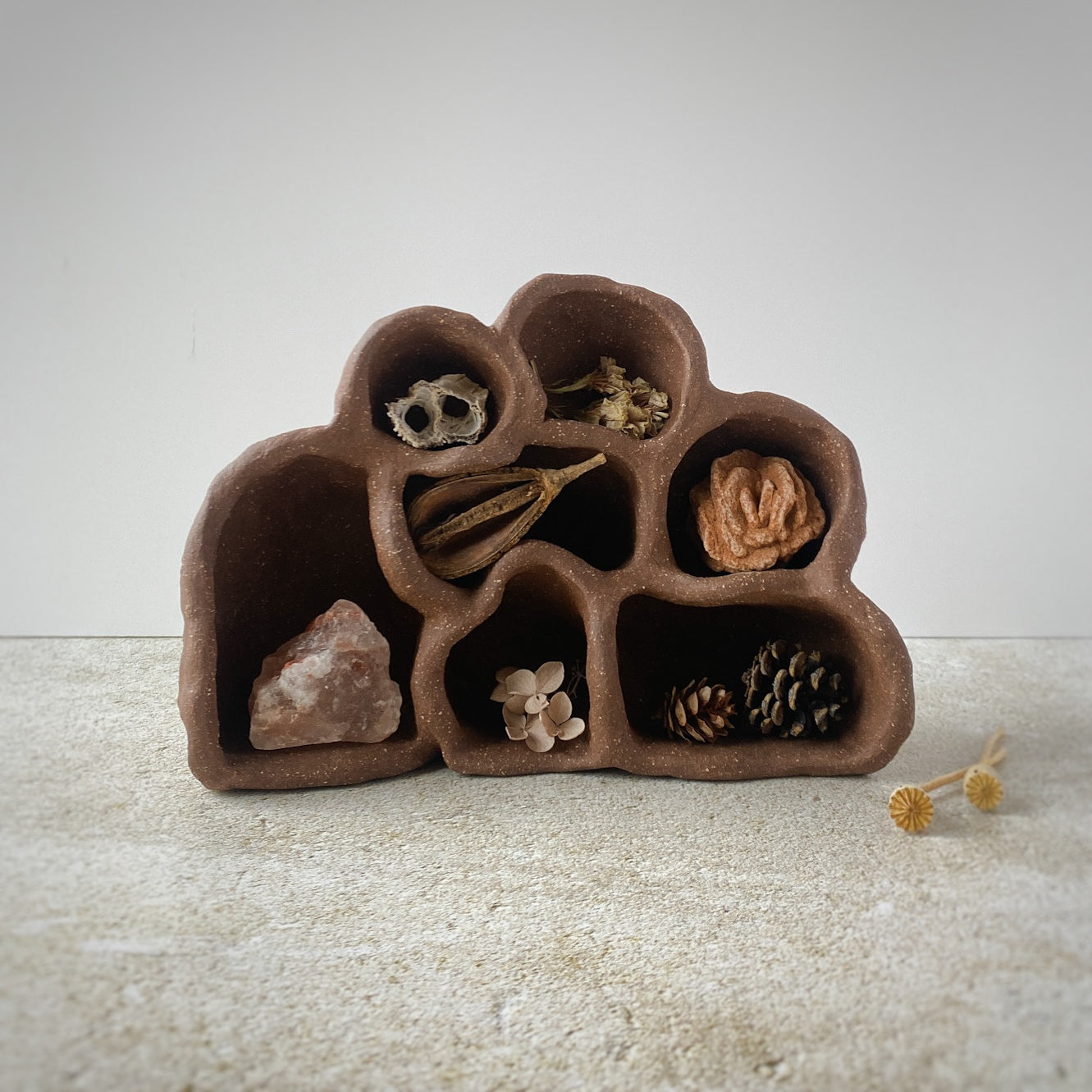 Nature Reliquary II