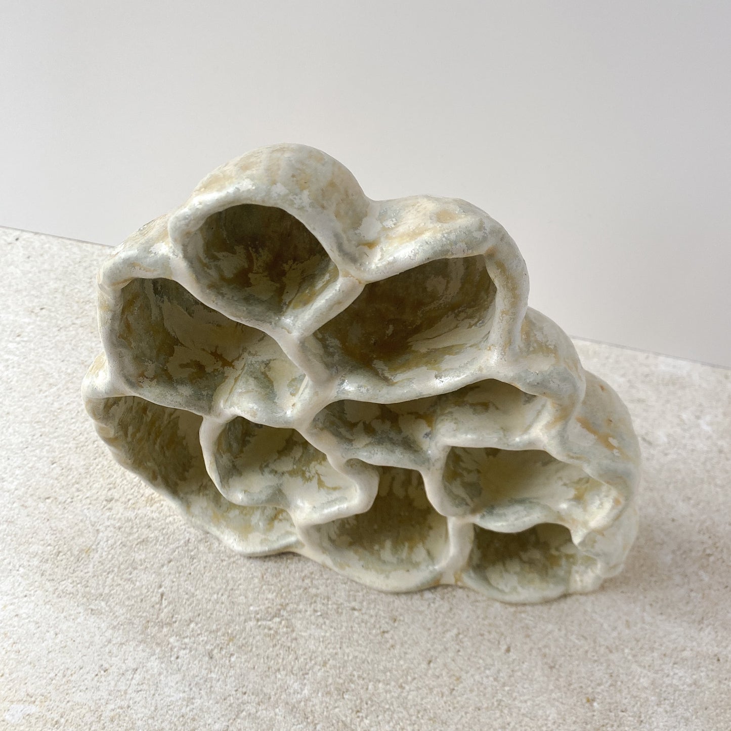 Nature Reliquary III