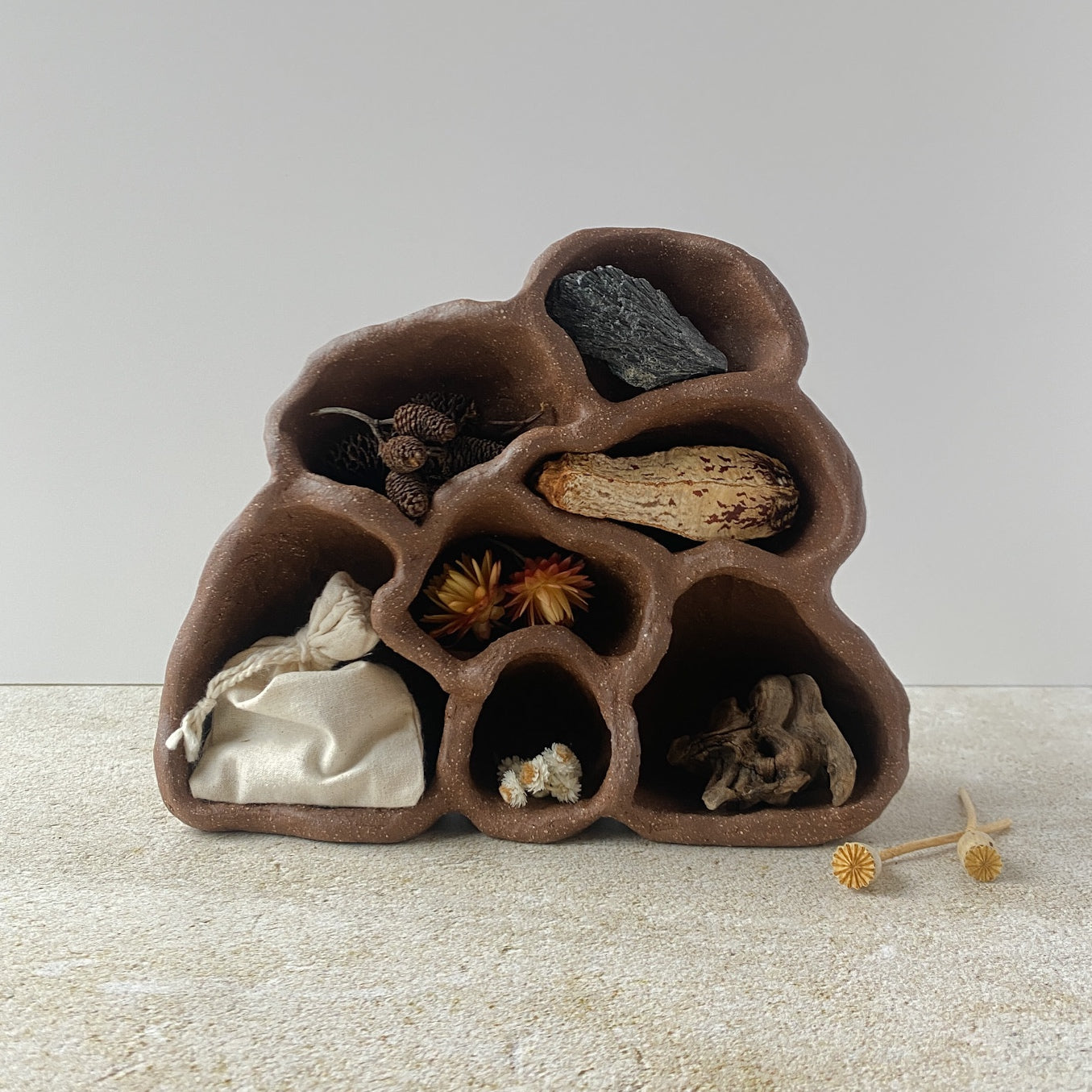 Nature Reliquary I