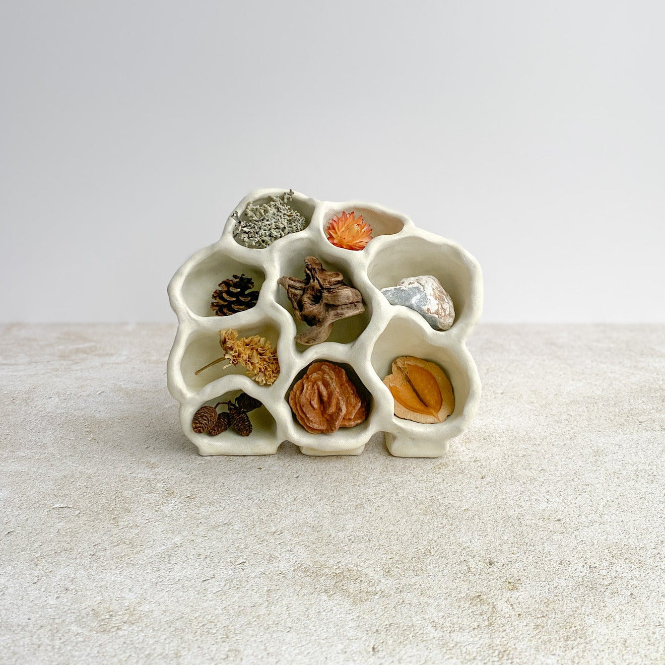 White ceramic holder with small compartments filled with various dried plants on a light gray background
