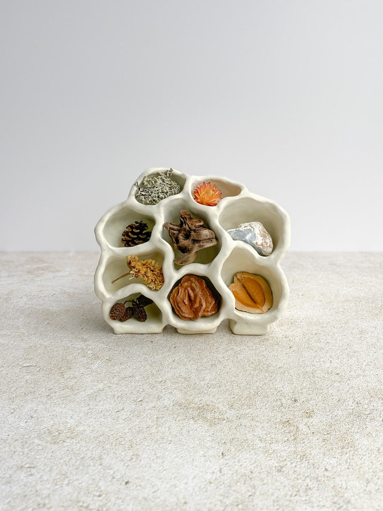 White ceramic holder with small compartments filled with various dried plants on a light gray background