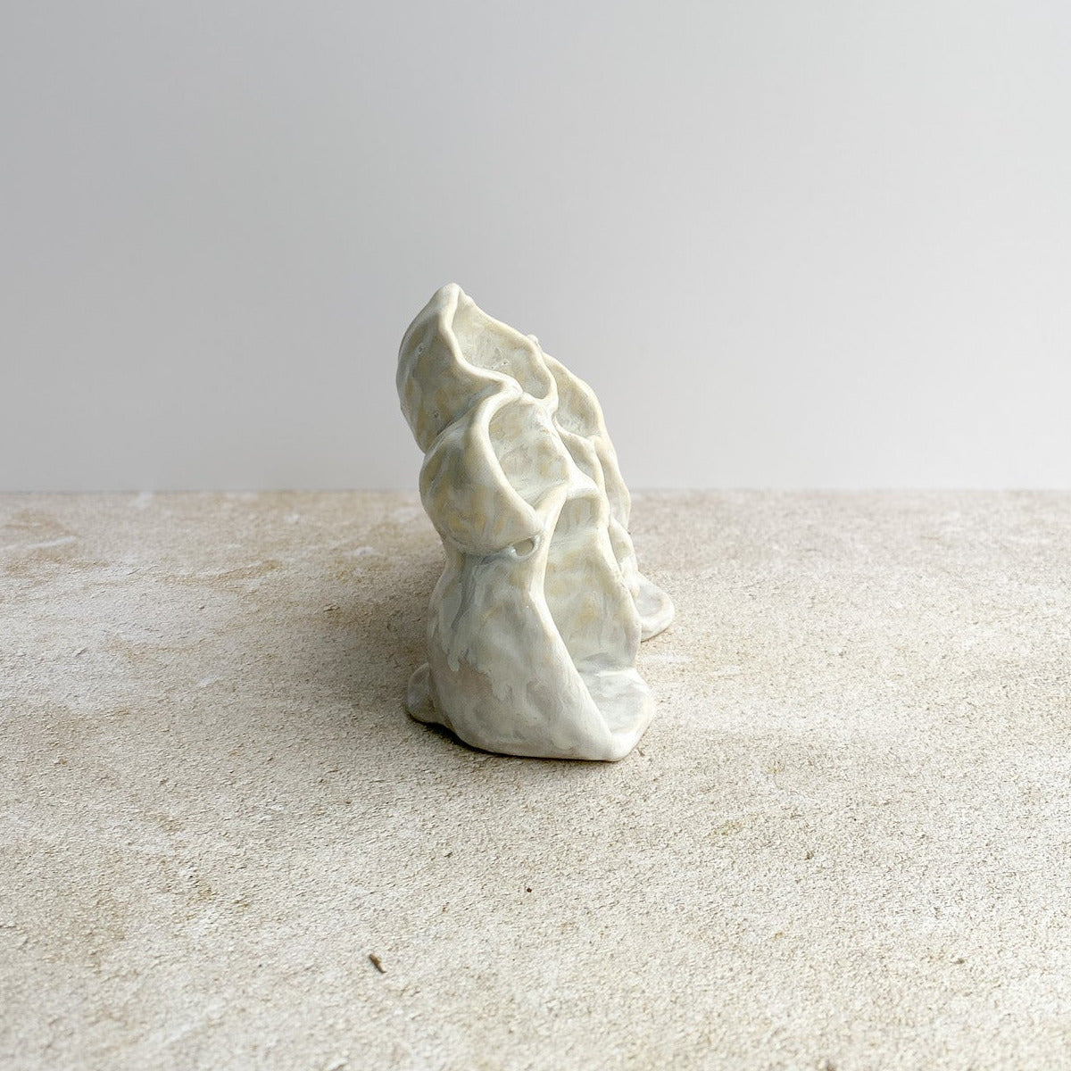 Nature Reliquary no. 11