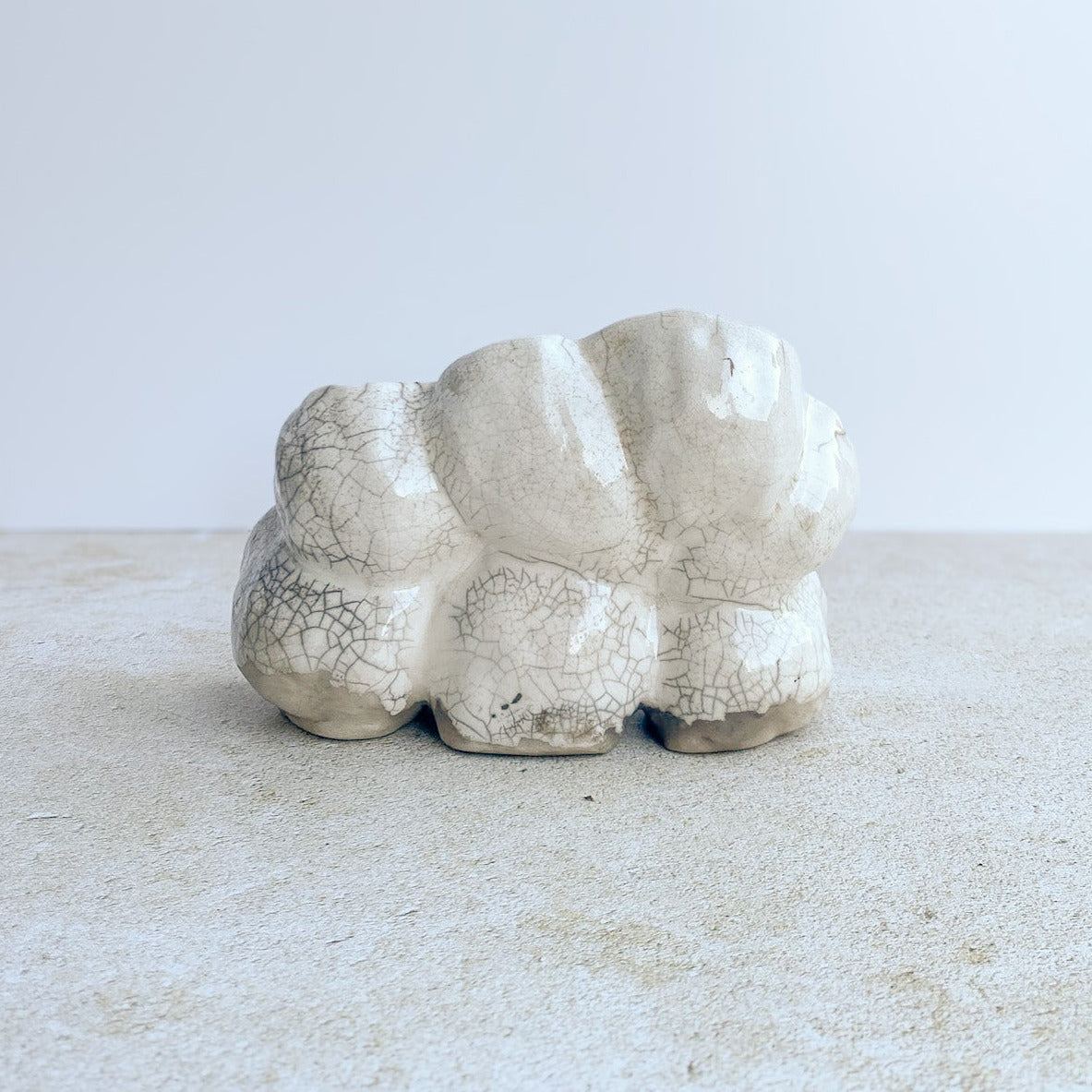Nature Reliquary no. 6