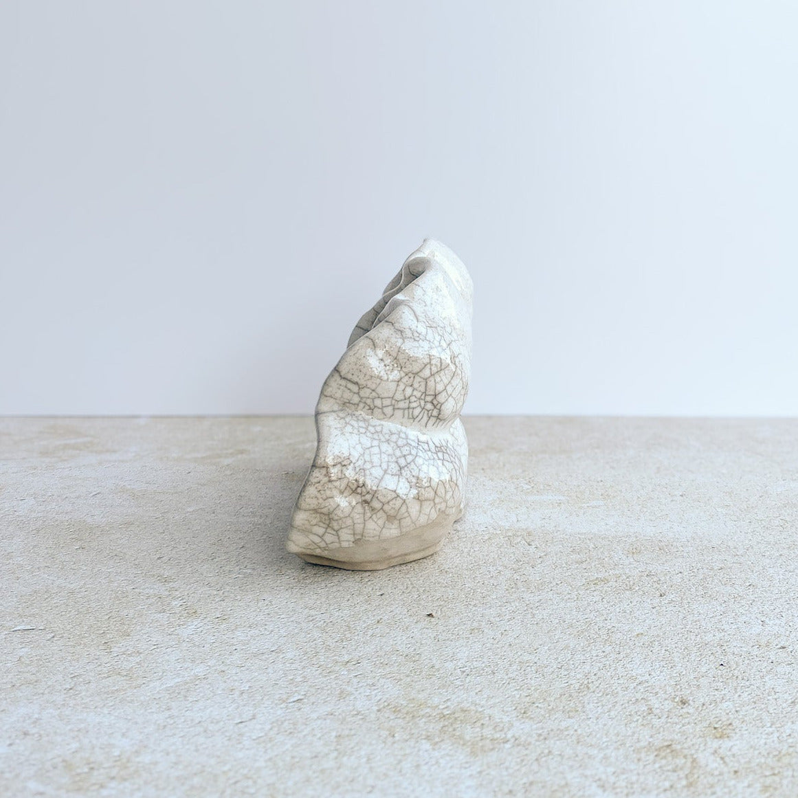 Nature Reliquary no. 6