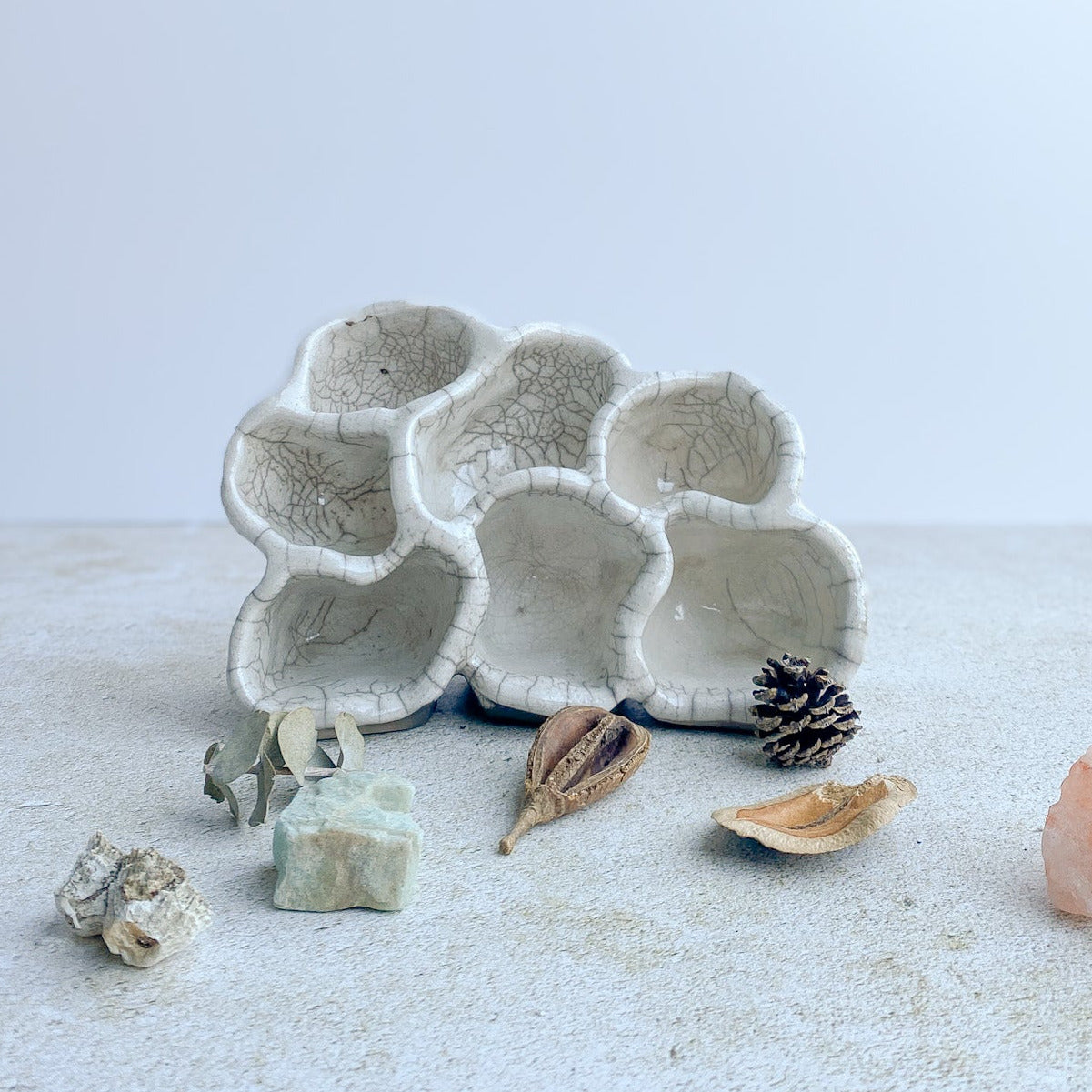 Nature Reliquary no. 6