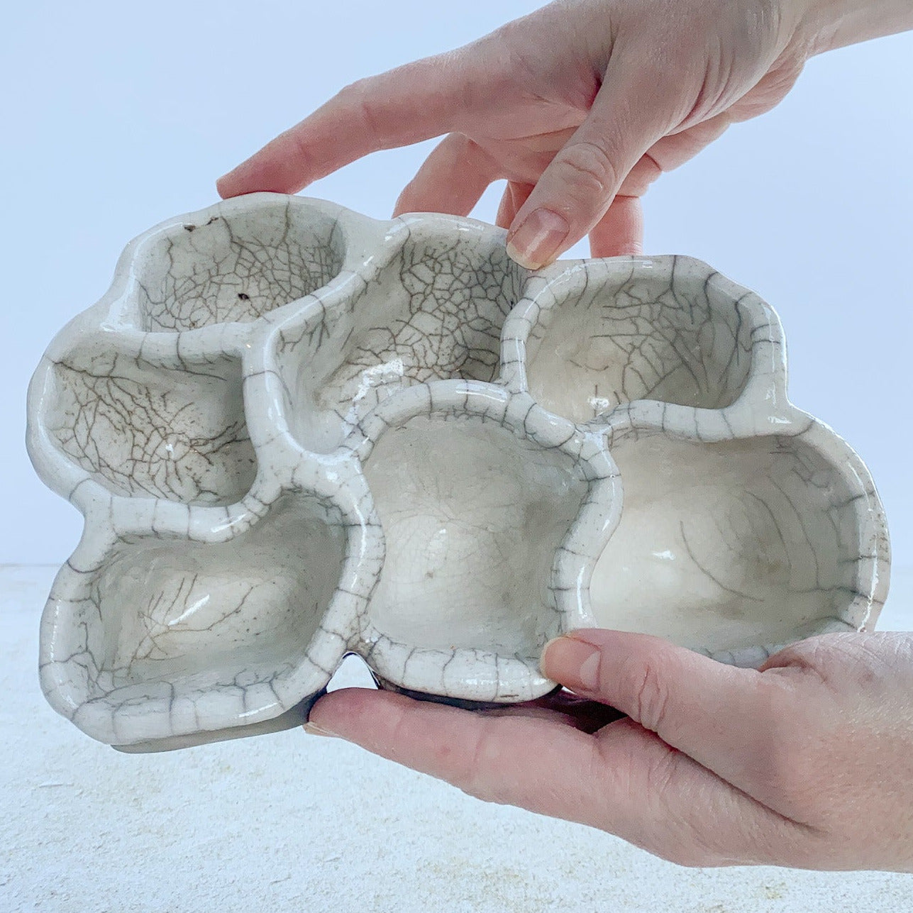 Nature Reliquary no. 6