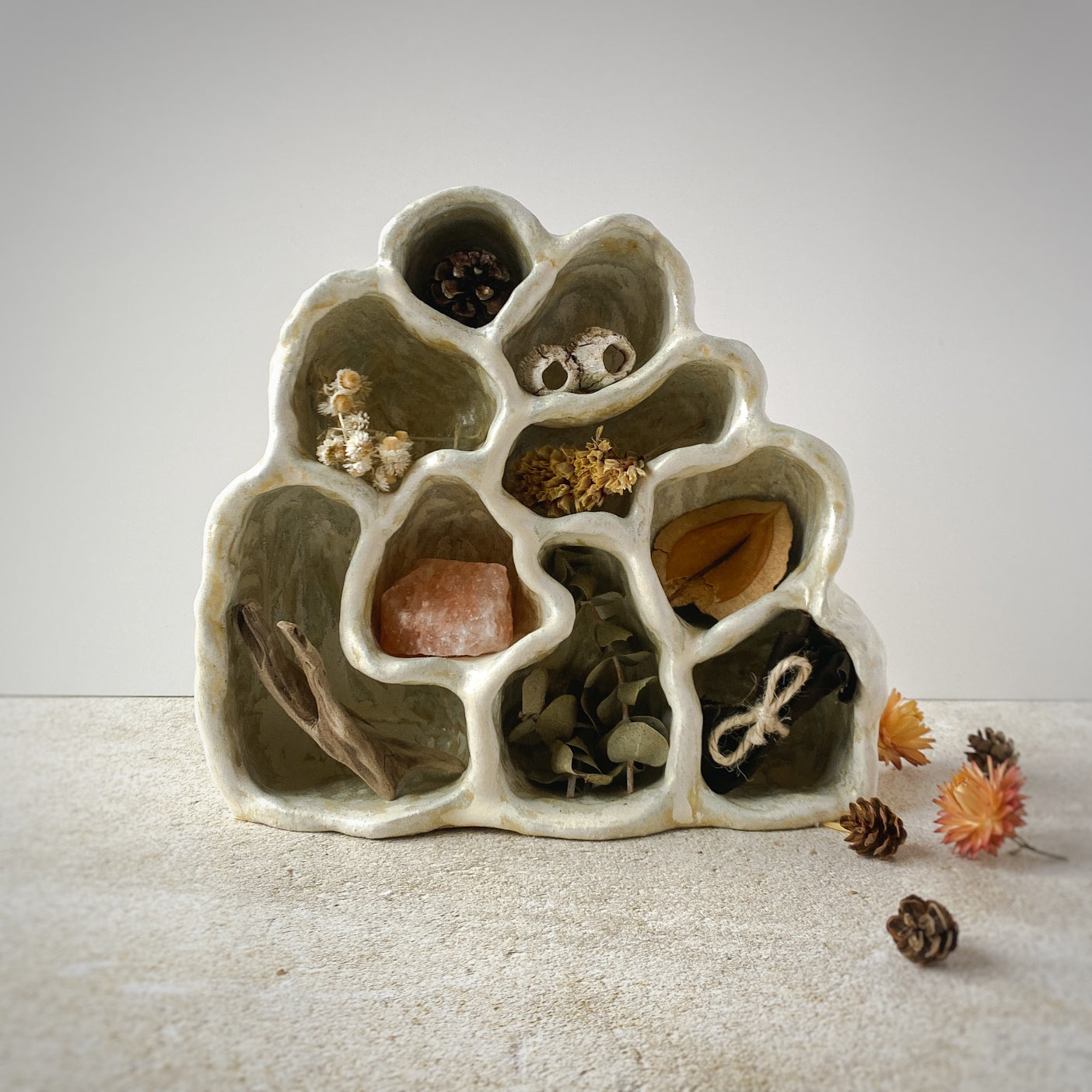 Nature Reliquary III